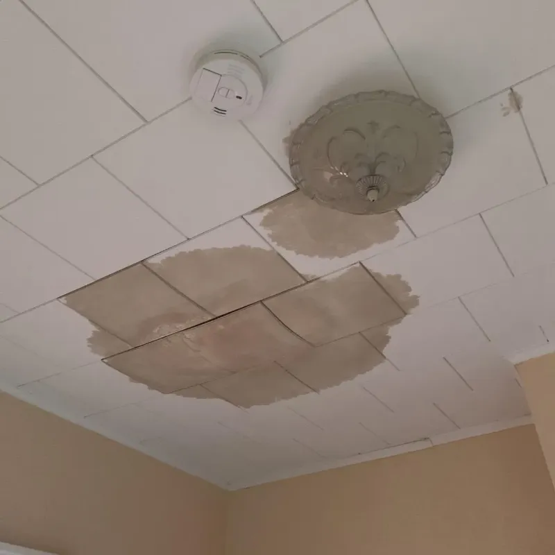Ceiling Water Damage Repair in West Mountain, UT