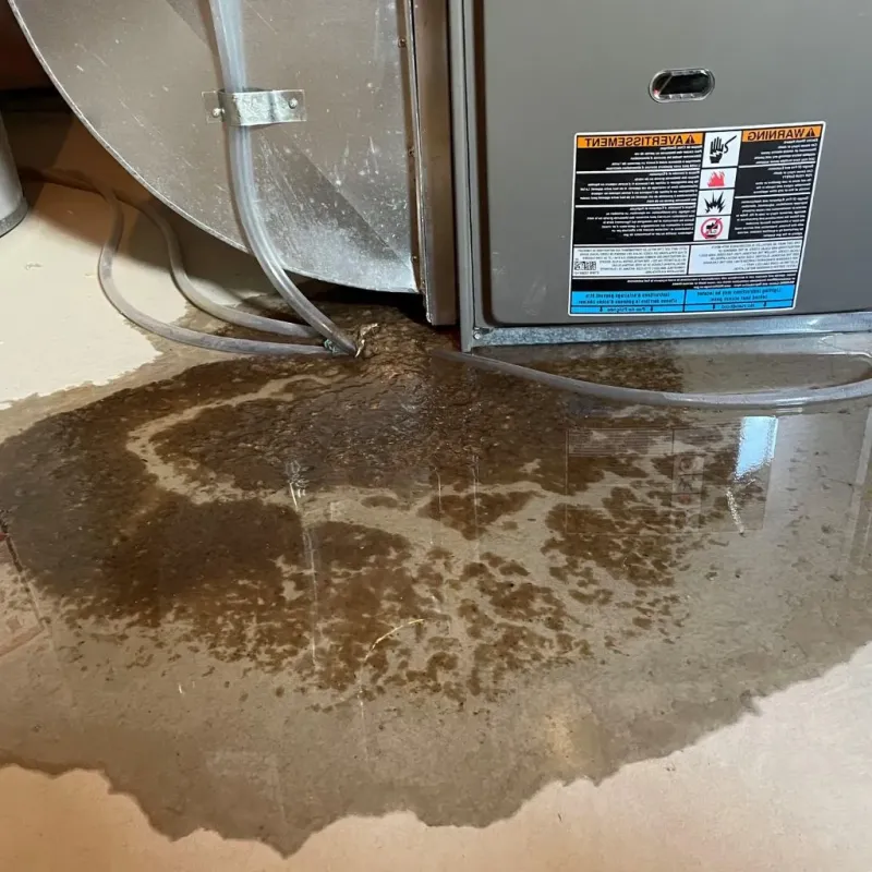 Pipe Burst and Leak Restoration in West Mountain, UT