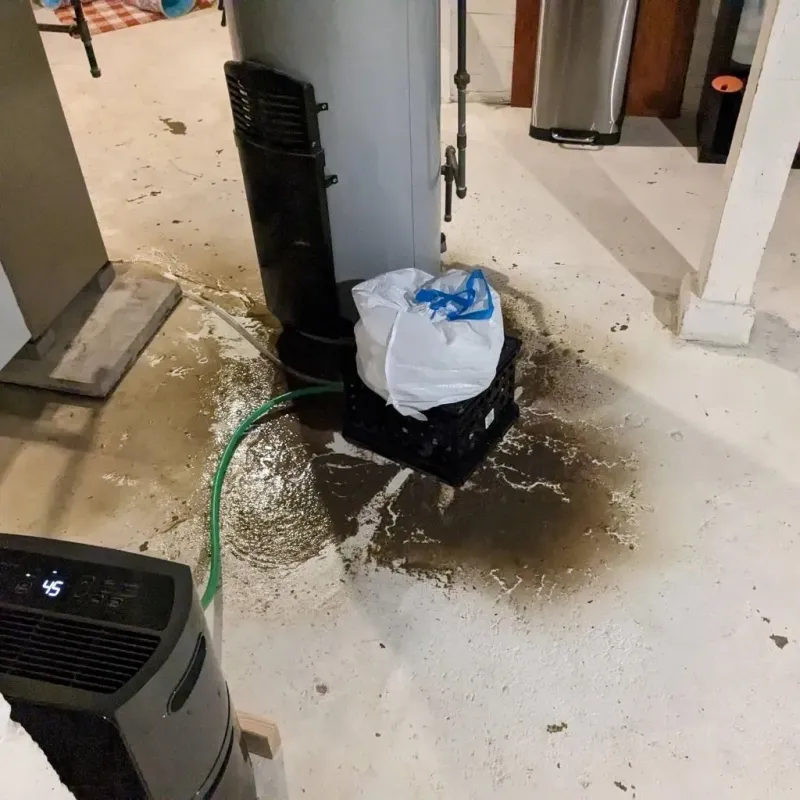 Sewage Backup Cleanup Service in West Mountain, UT
